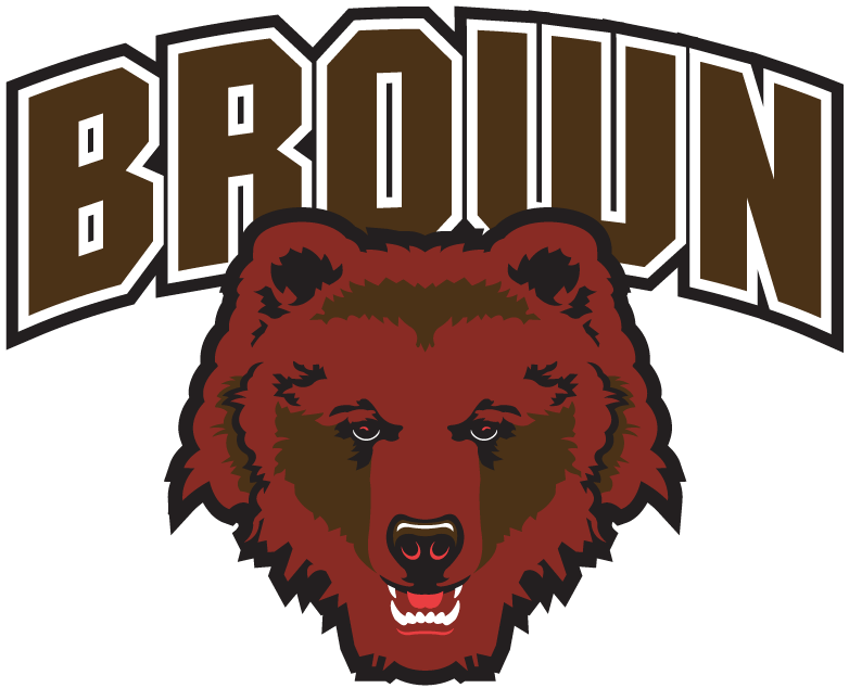 Brown Bears iron ons